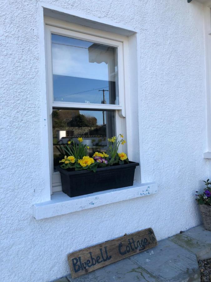 Bluebell Cottage Kilmore Quay Exteriér fotografie